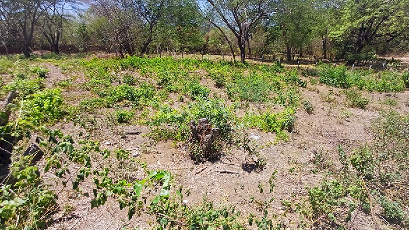 Land for sale on the Carretera Vieja a León