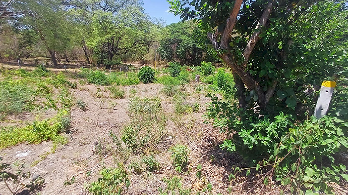 Land for sale on the Carretera Vieja a León