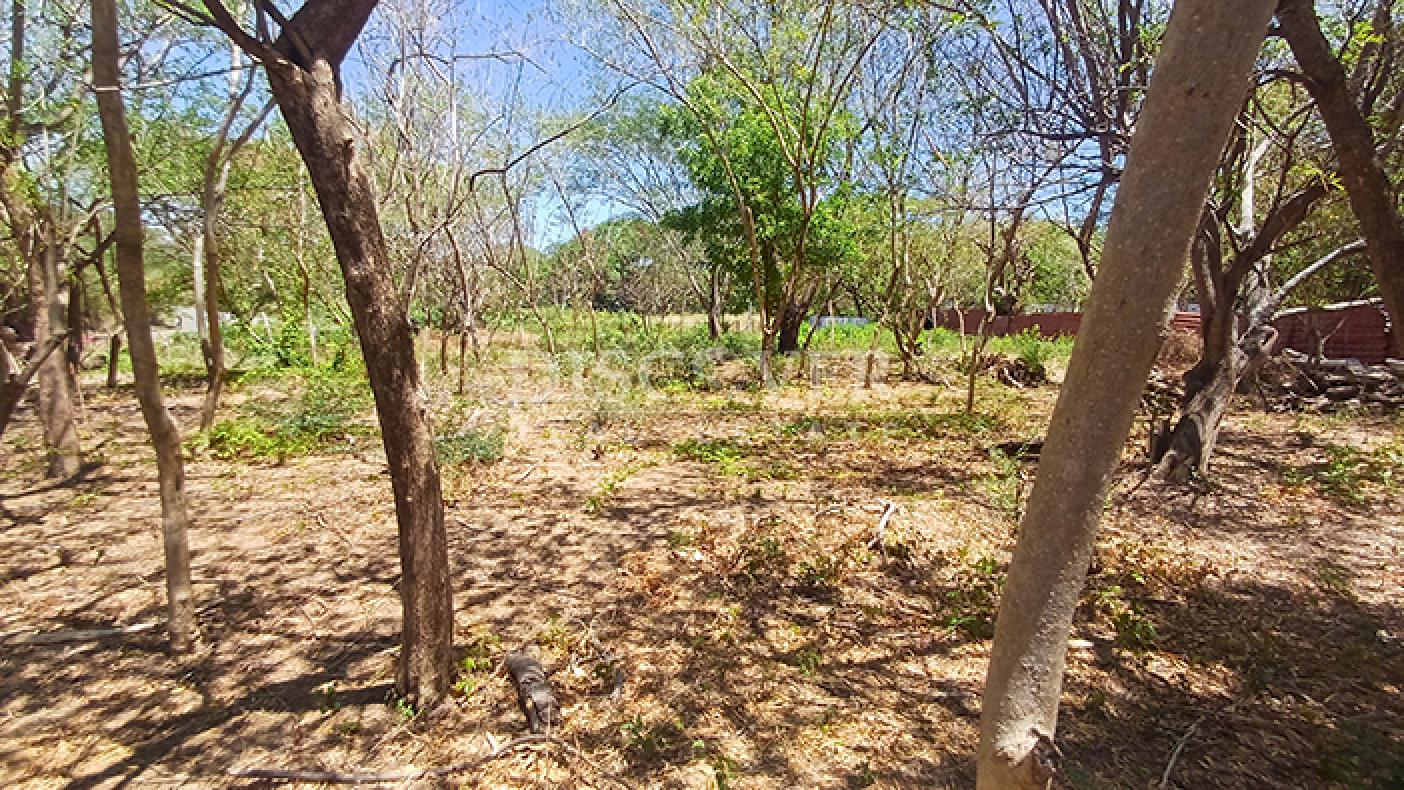 Land for sale on t Carretera Vieja a León