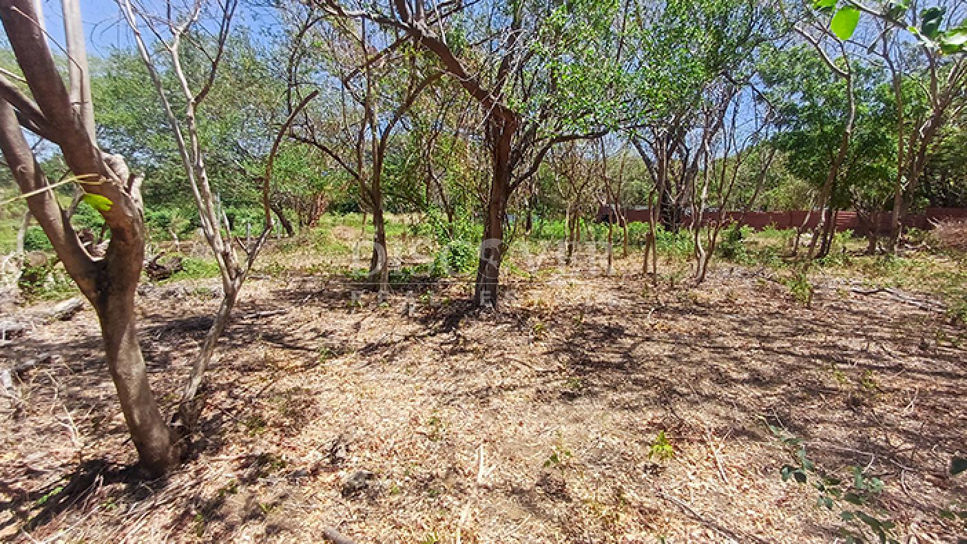 Land for sale on t Carretera Vieja a León