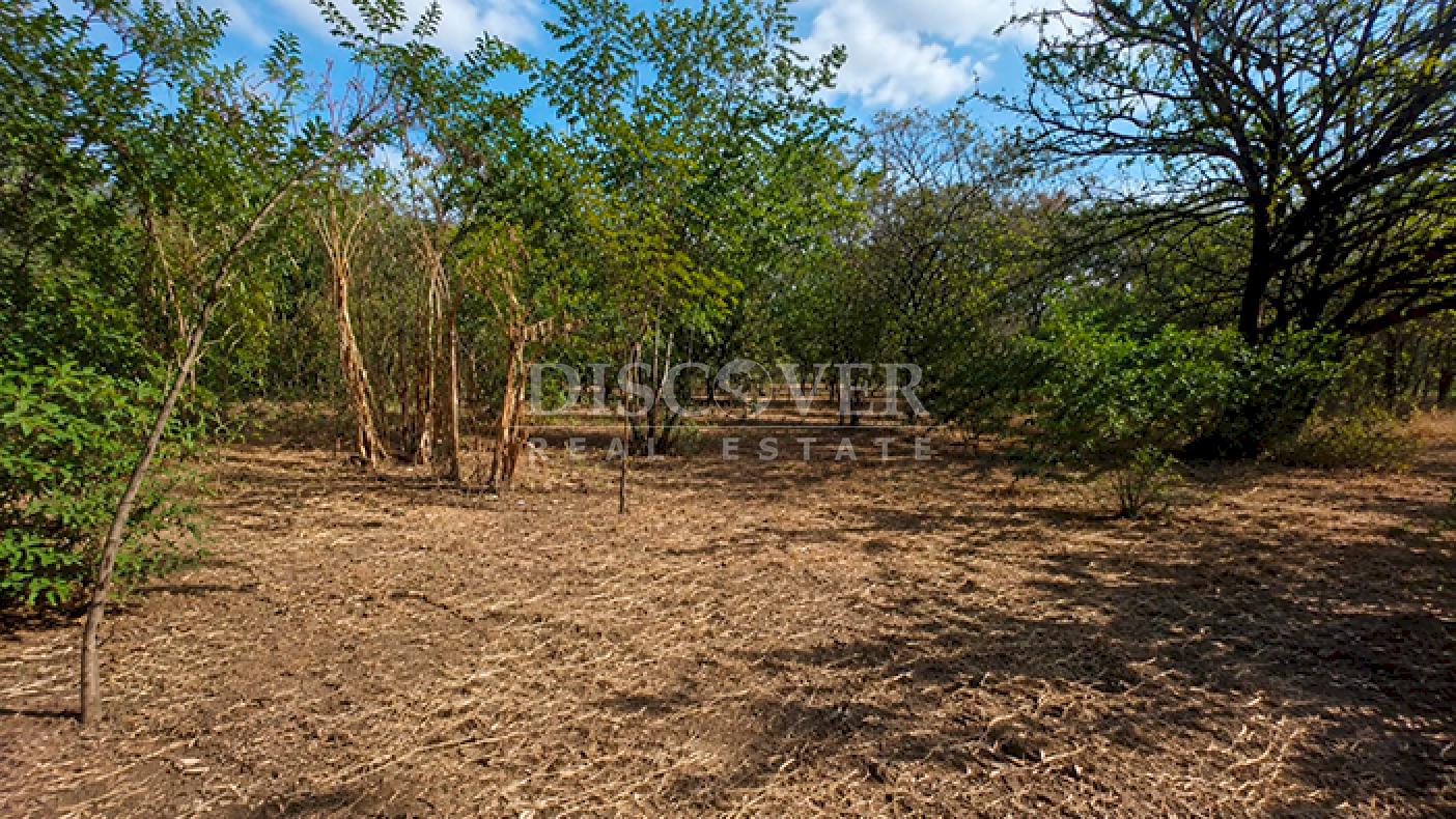 Land for sale on Carretera Nueva a Leon