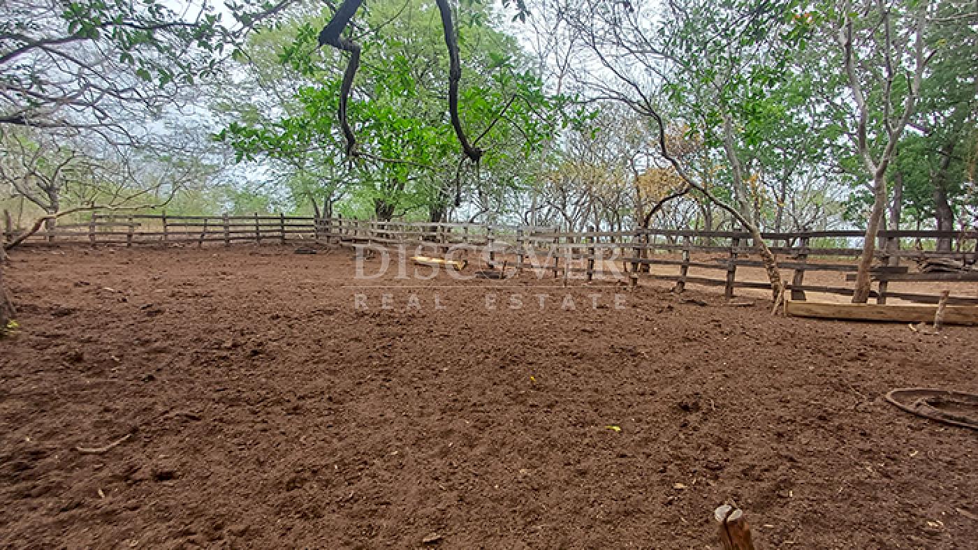  Farm with excellent natural resources for sale in Jinotepe