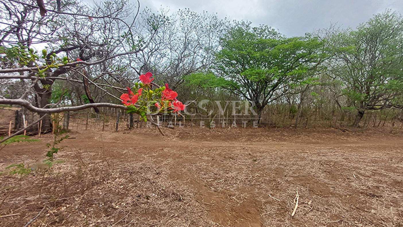  Farm with excellent natural resources for sale in Jinotepe