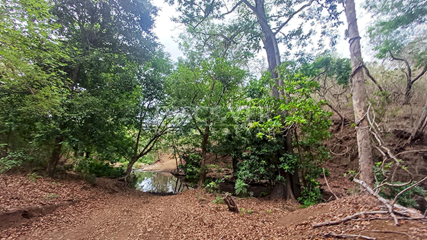  Farm with excellent natural resources for sale in Jinotepe