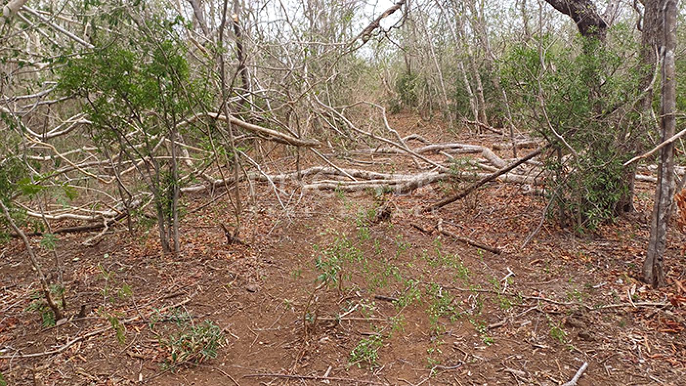 Farm with excellent natural resources for sale in Jinotepe