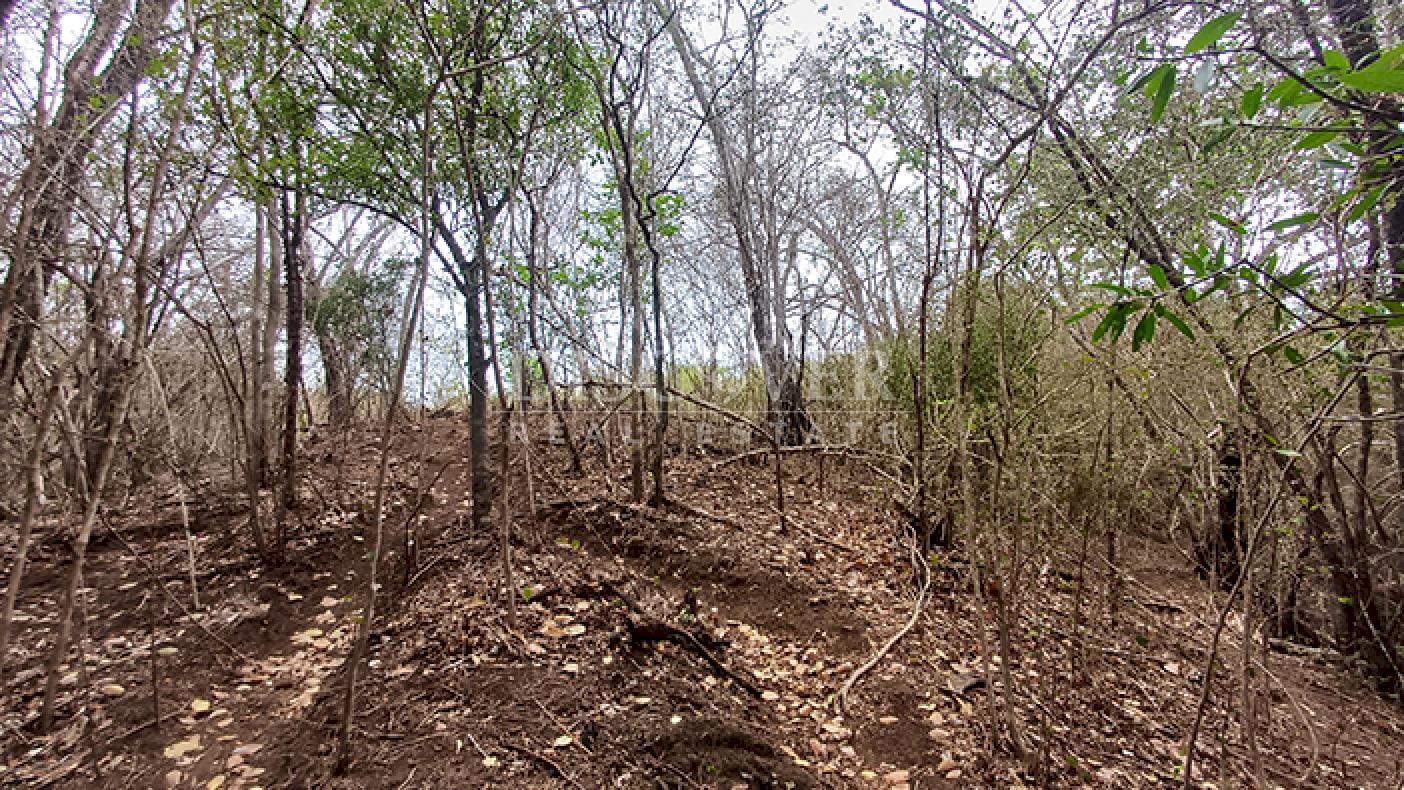  Farm with excellent natural resources for sale in Jinotepe
