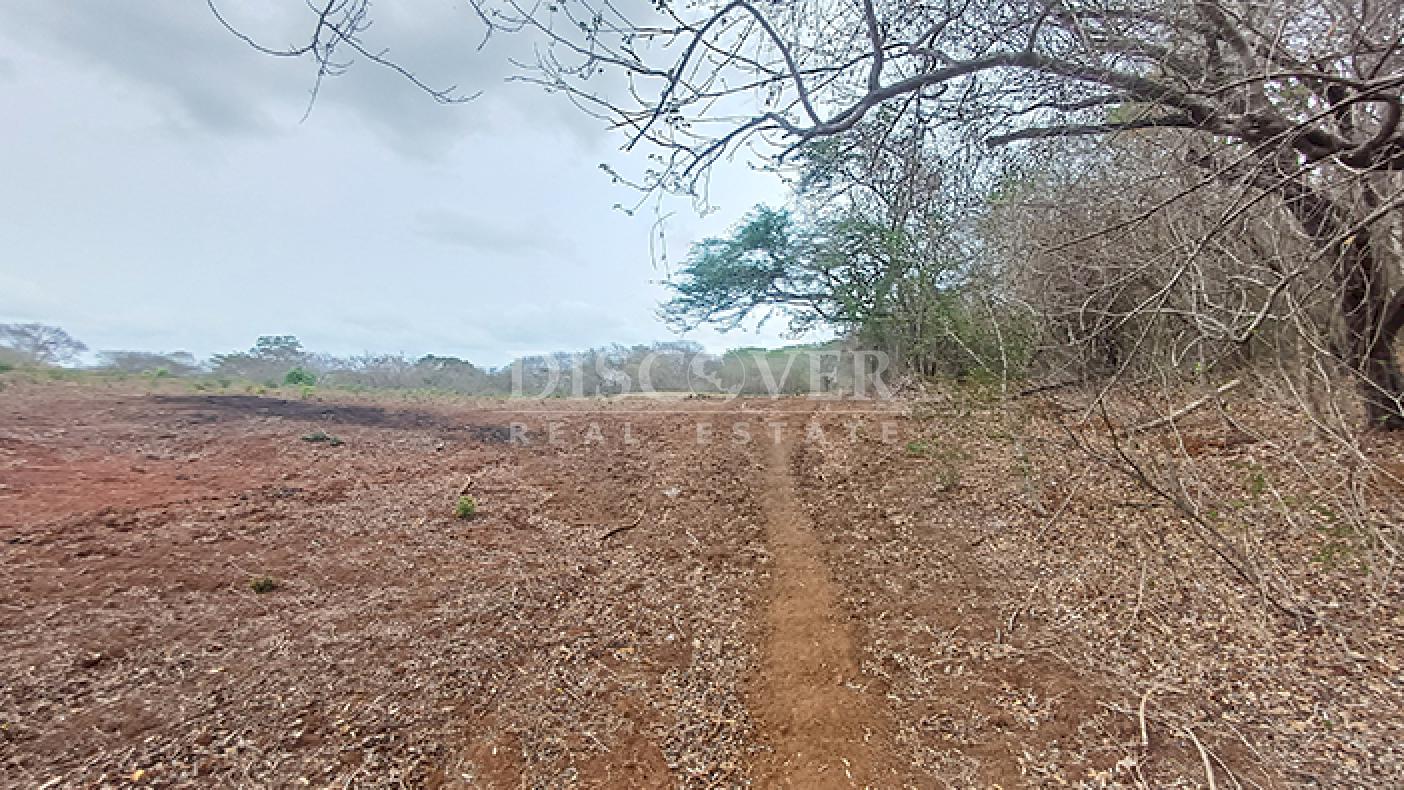  Farm with excellent natural resources for sale in Jinotepe