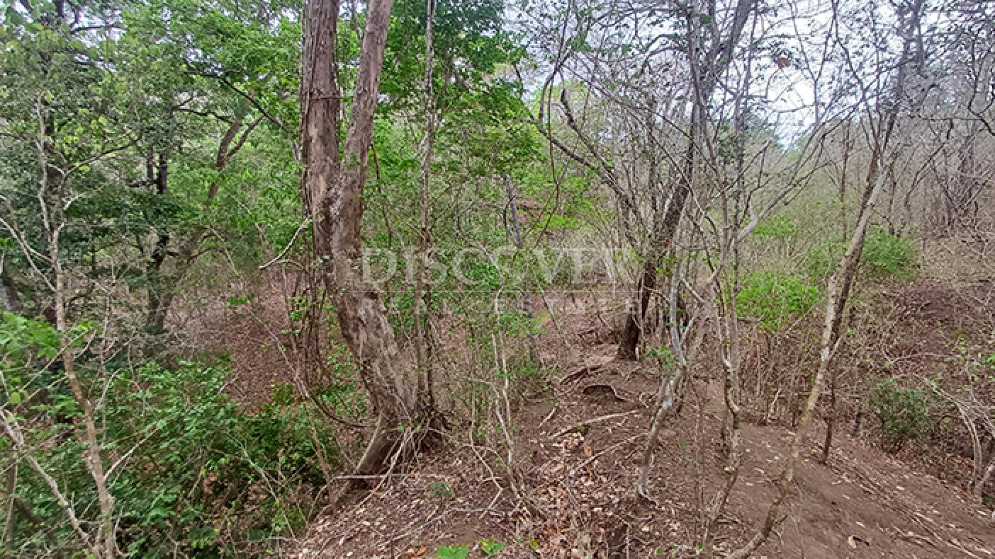  Farm with excellent natural resources for sale in Jinotepe