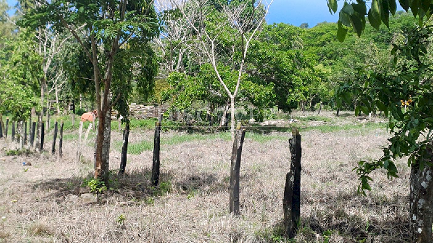 Imagen 2 de la galería