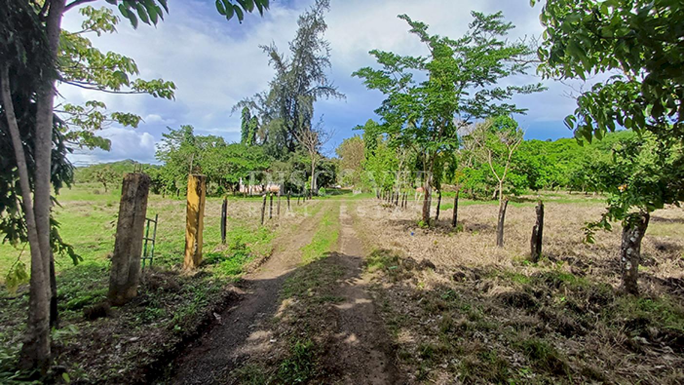 Imagen 4 de la galería