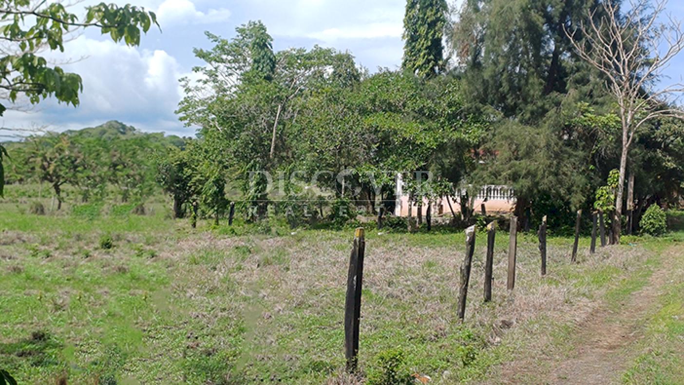 Imagen 6 de la galería