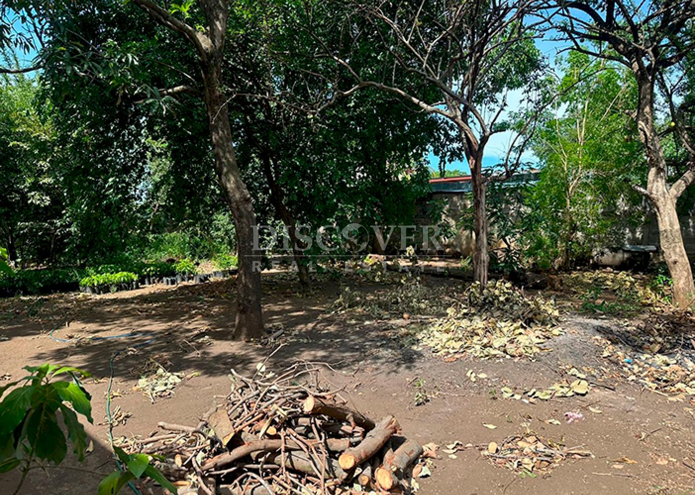 Spacious lot with a warehouse for sale in León