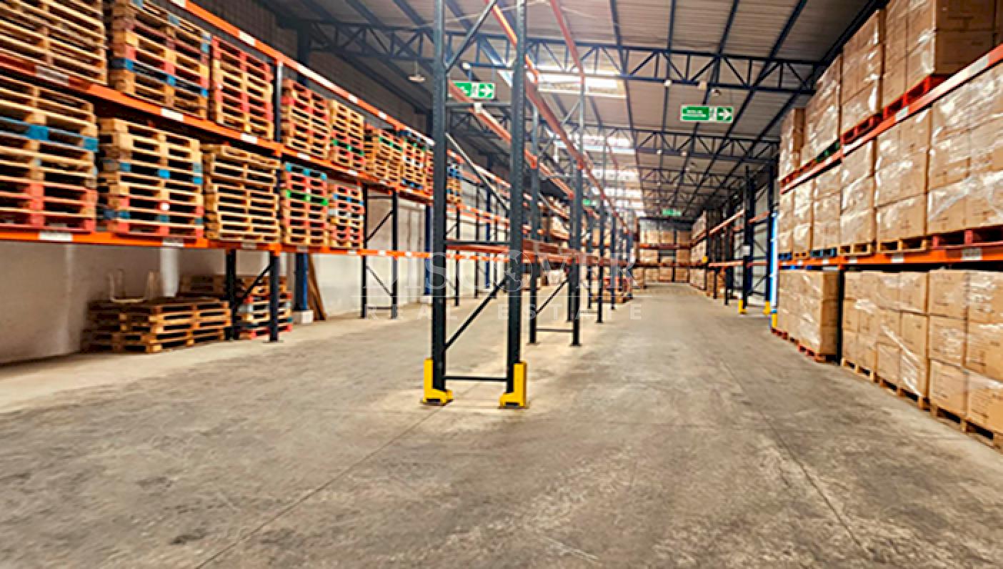  Warehouse with office and loading area for rent in Las Colinas 