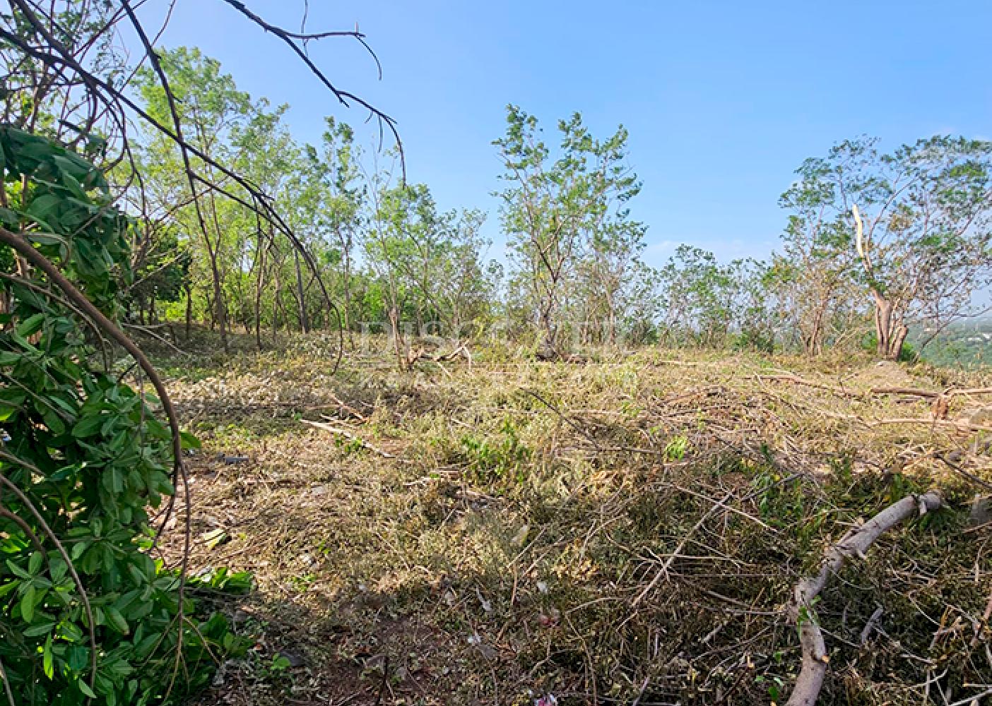  Land for Sale on the Carretera Vieja a León