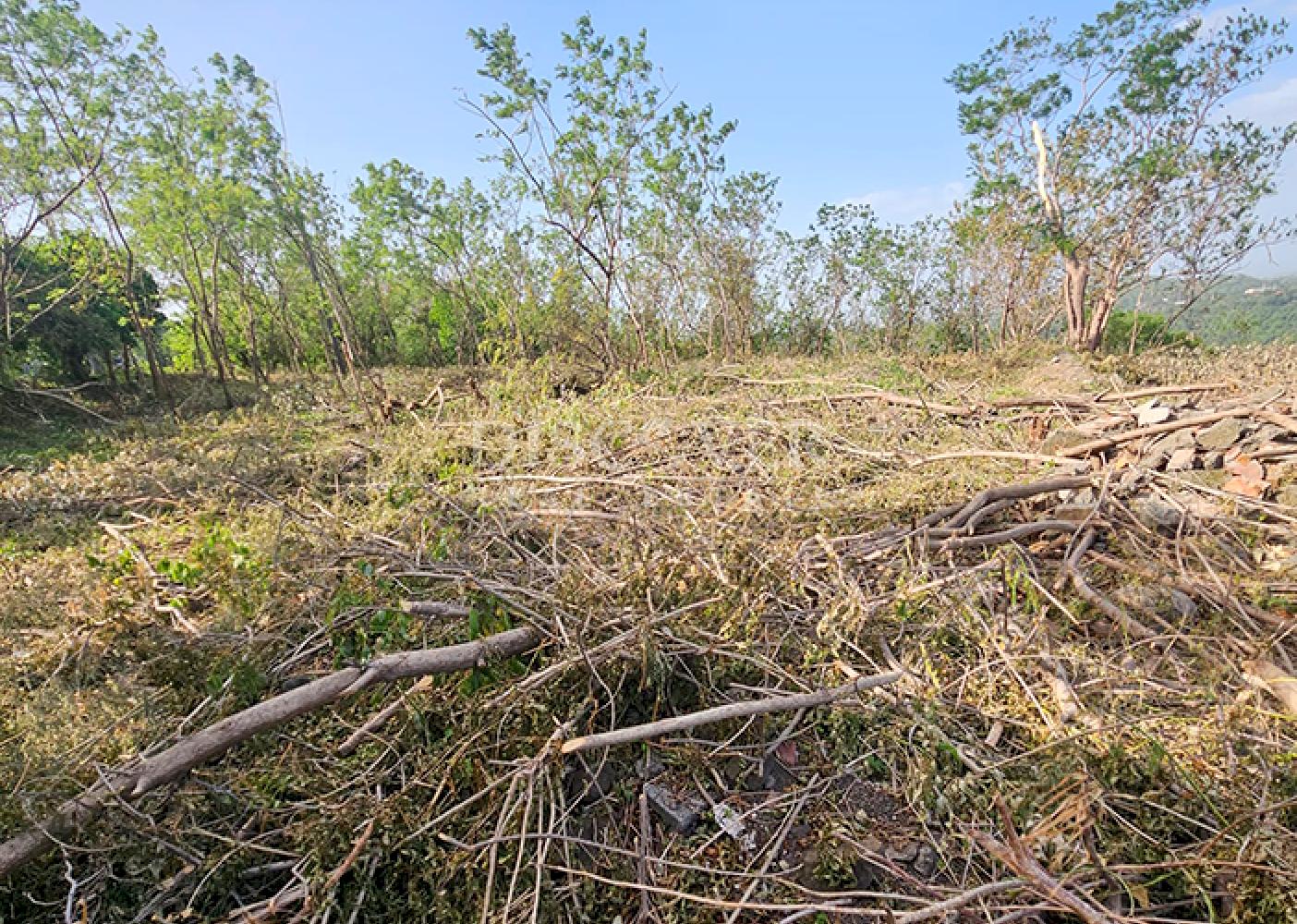  Land for Sale on the Carretera Vieja a León