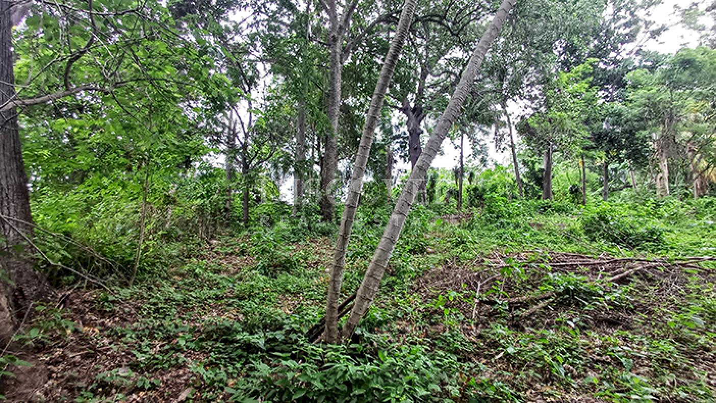 Land for Sale on Carretera Sur 