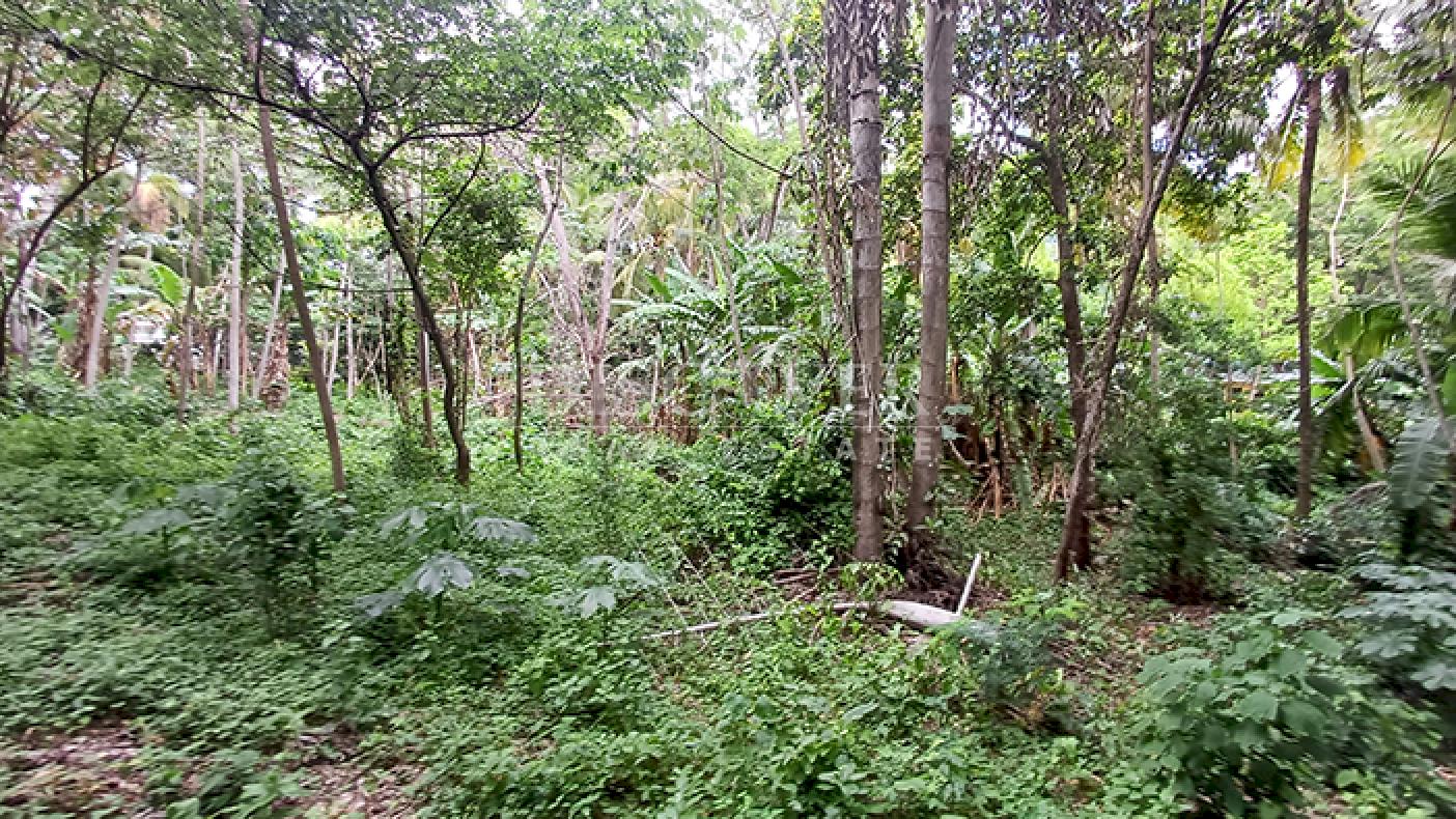 Land for Sale on Carretera Sur 