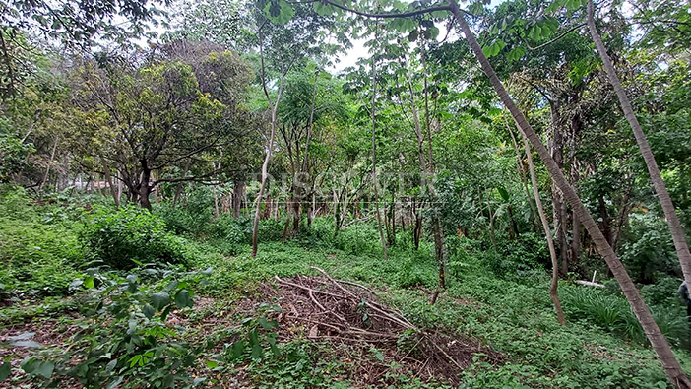 Land for Sale on Carretera Sur 