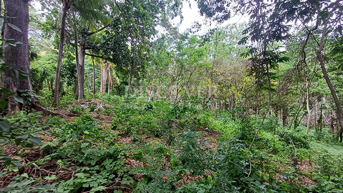 Land for Sale on Carretera Sur 