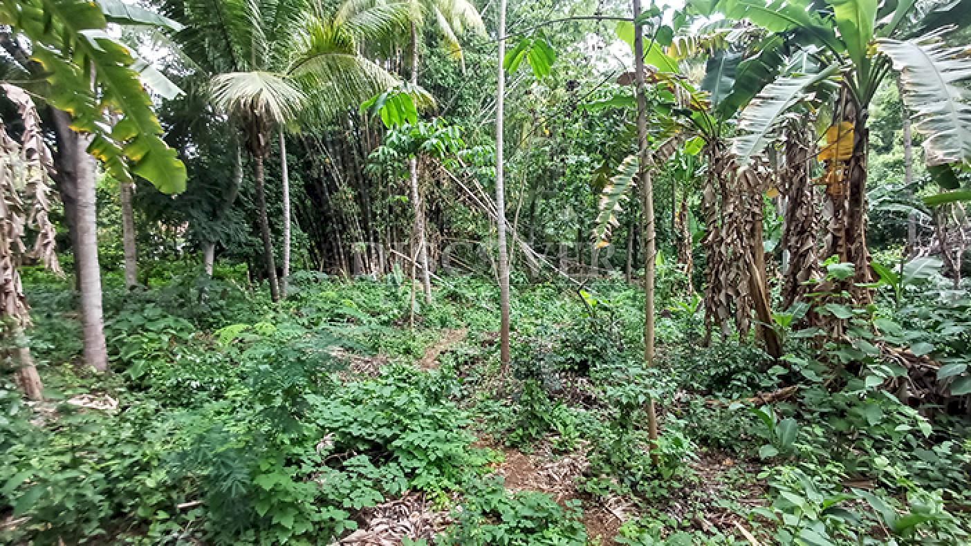 Land for Sale on Carretera Sur 