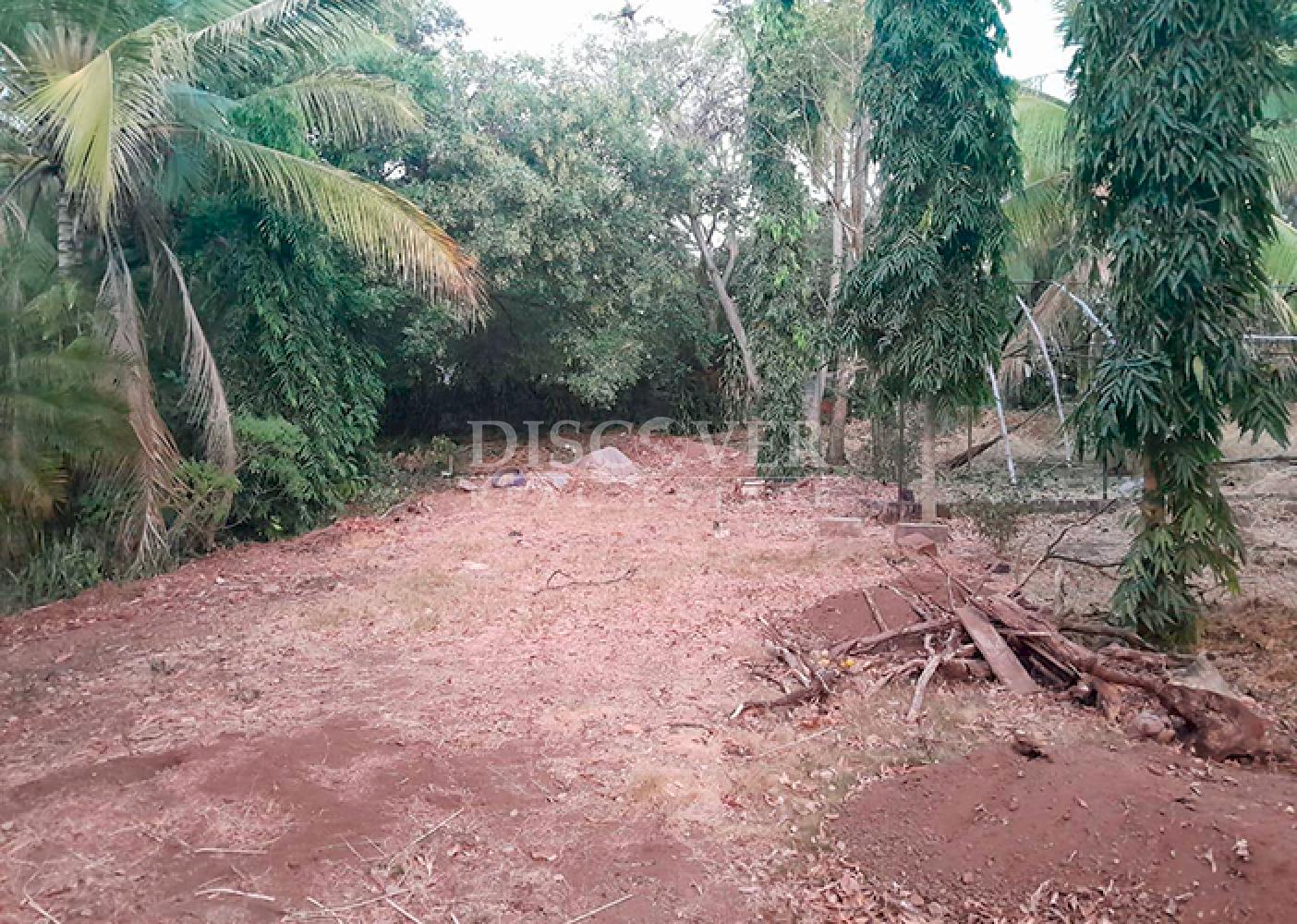  Land for sale with easy access on Carretera Vieja to León