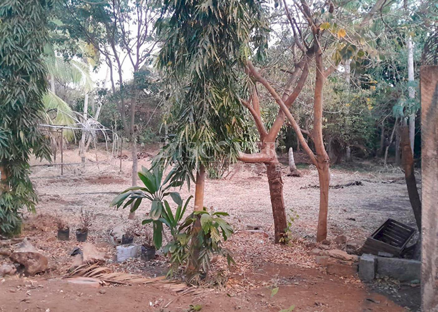  Land for sale with easy access on Carretera Vieja to León