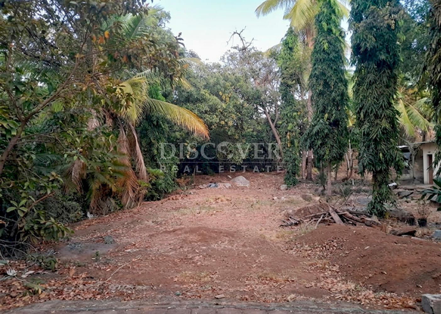 Land for sale with easy access on Carretera Vieja to León
