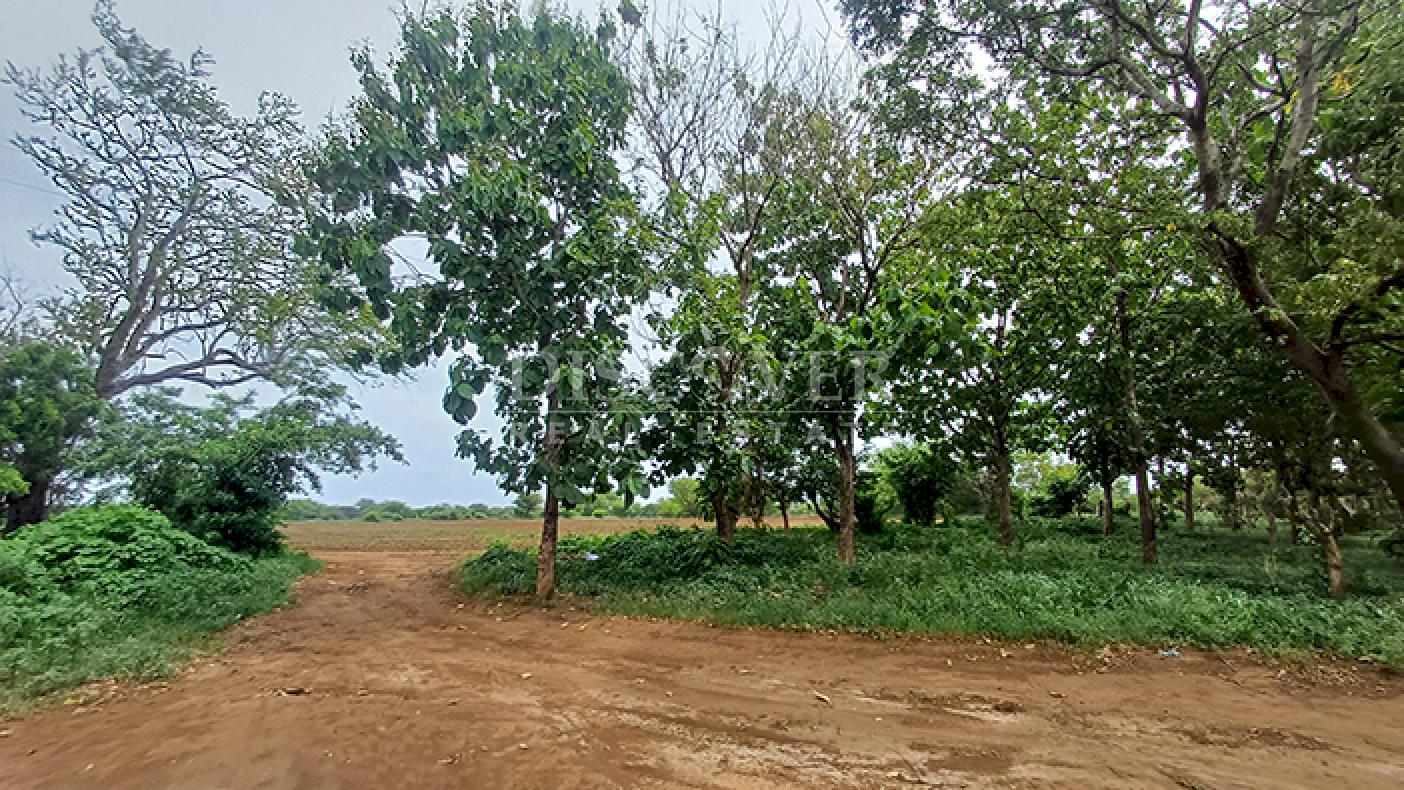 Large-scale industrial lot for sale on the Masaya–Tipitapa Highway