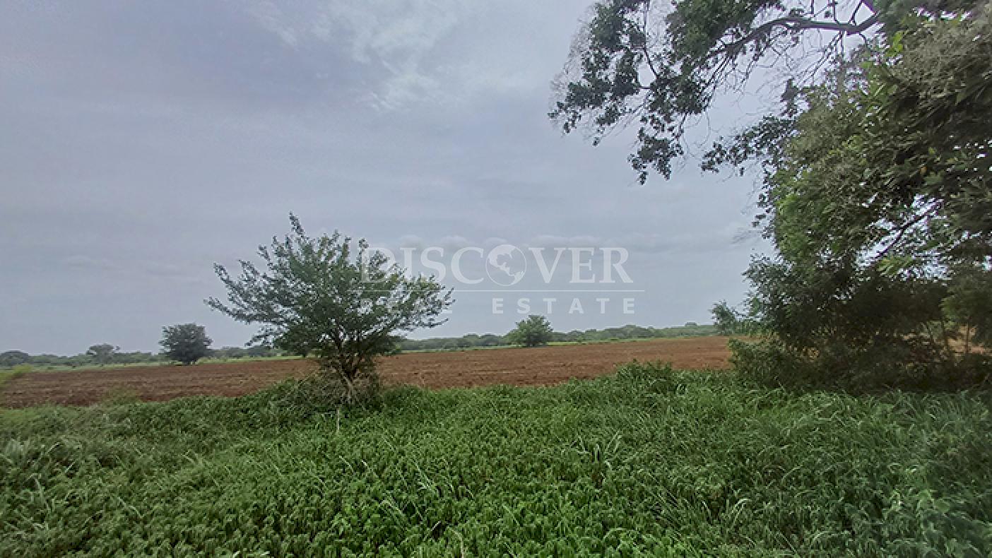 Large-scale industrial lot for sale on the Masaya–Tipitapa Highway