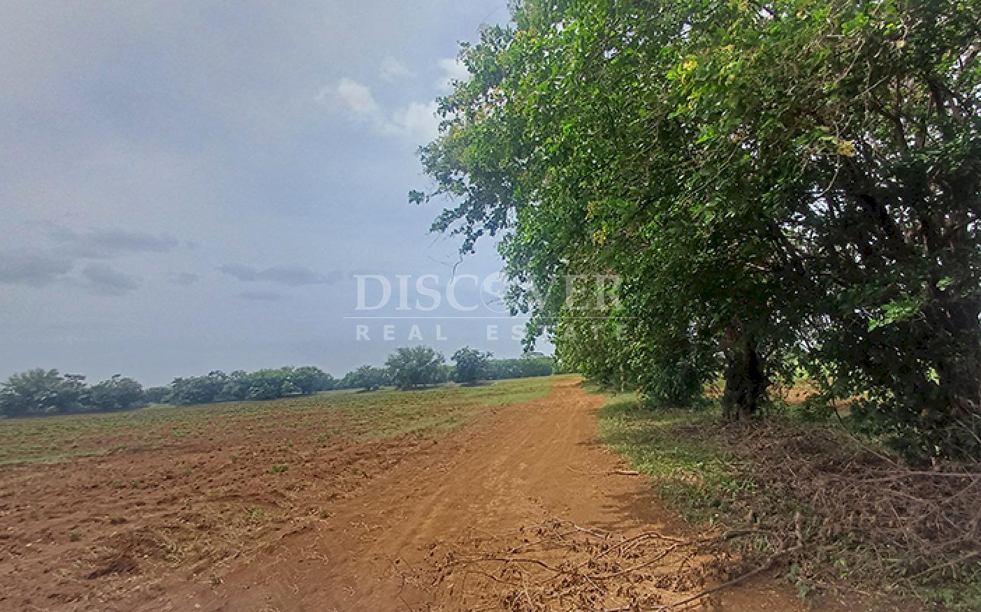 Large-scale industrial lot for sale on the Masaya–Tipitapa Highway