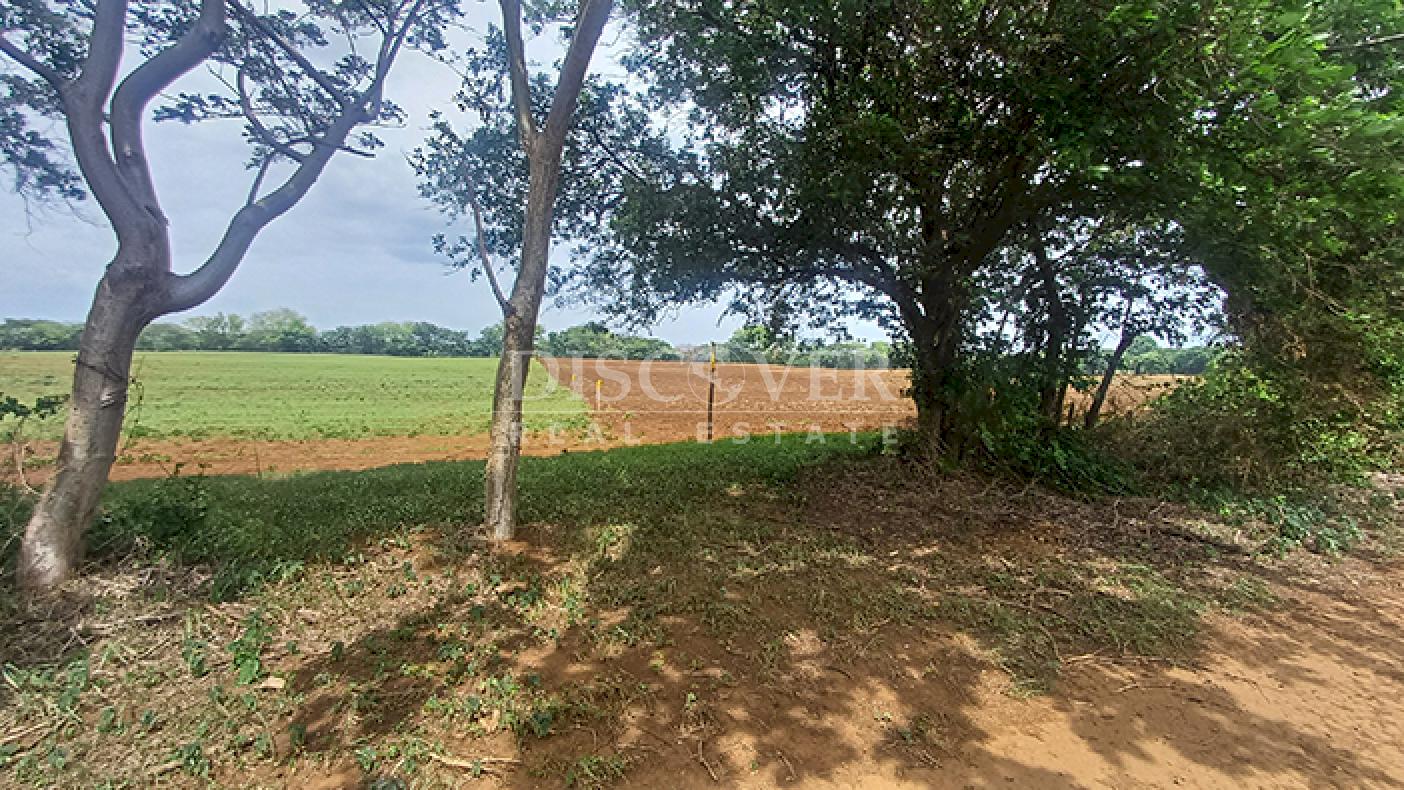 Large-scale industrial lot for sale on the Masaya–Tipitapa Highway