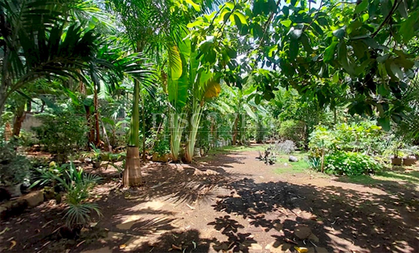  Land for sale on the Old Road to León