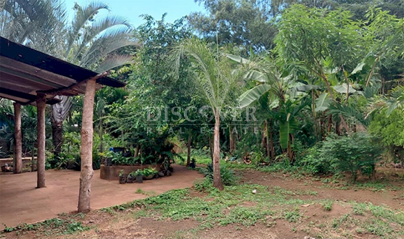  Land for sale on the Old Road to León