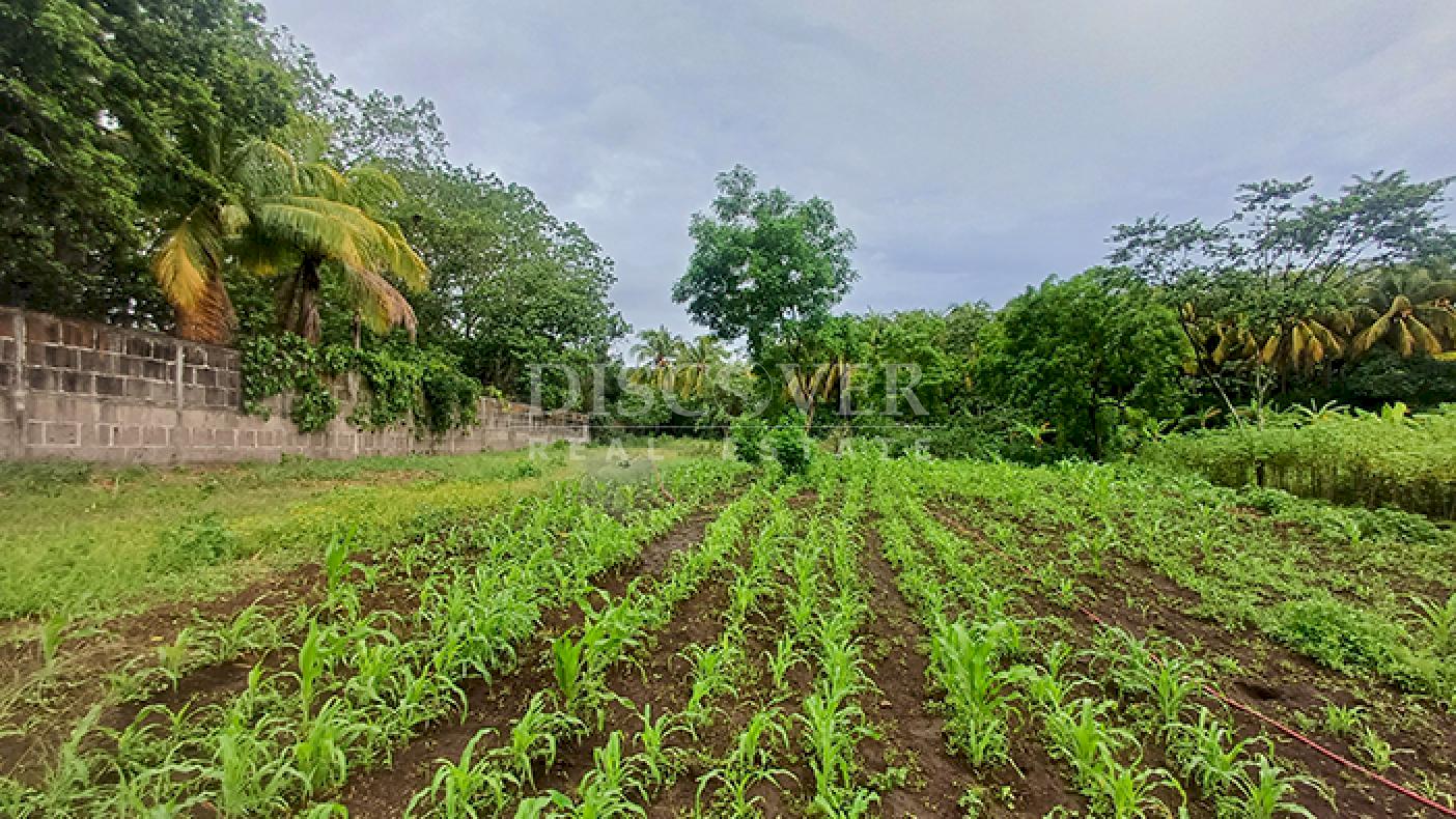 Land for Sale on the Road to Masaya