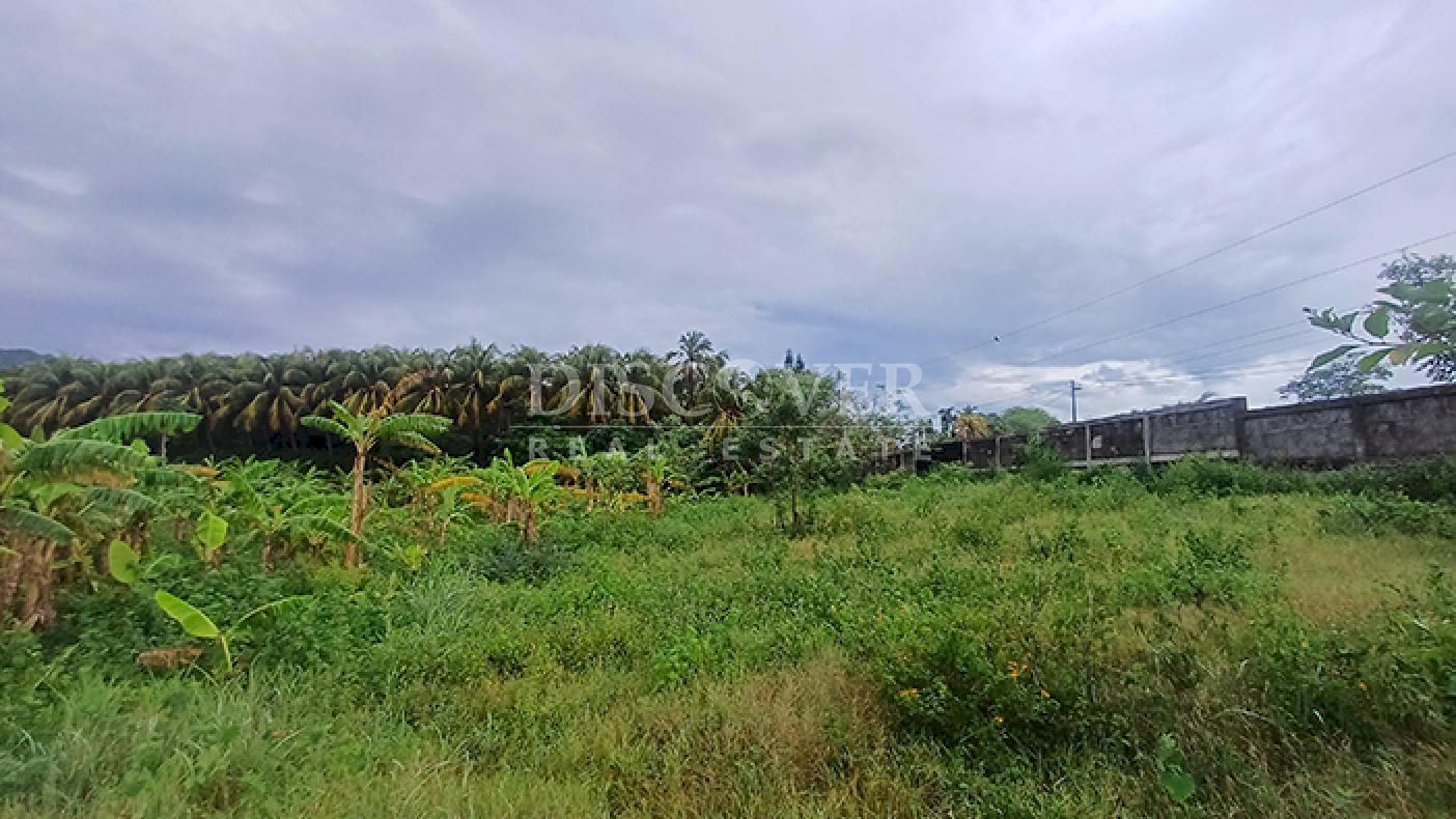 Land for Sale on the Road to Masaya