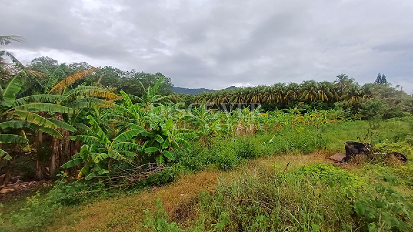 Land for Sale on the Road to Masaya