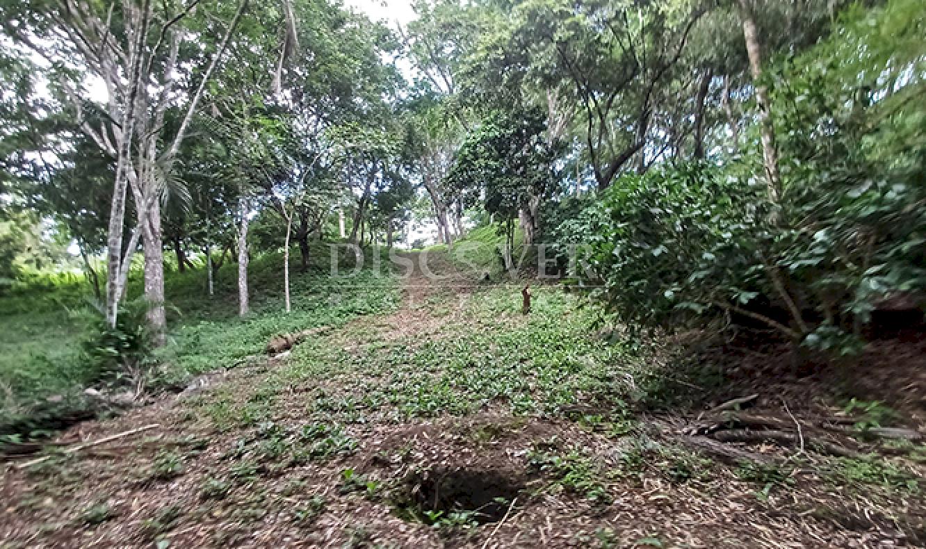 Land for sale with views of the lagoon and Mombacho Volcano in Diriá