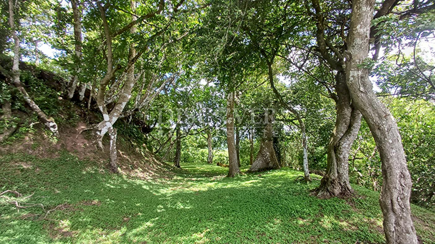 Land for sale with views of the lagoon and Mombacho Volcano in Diriá