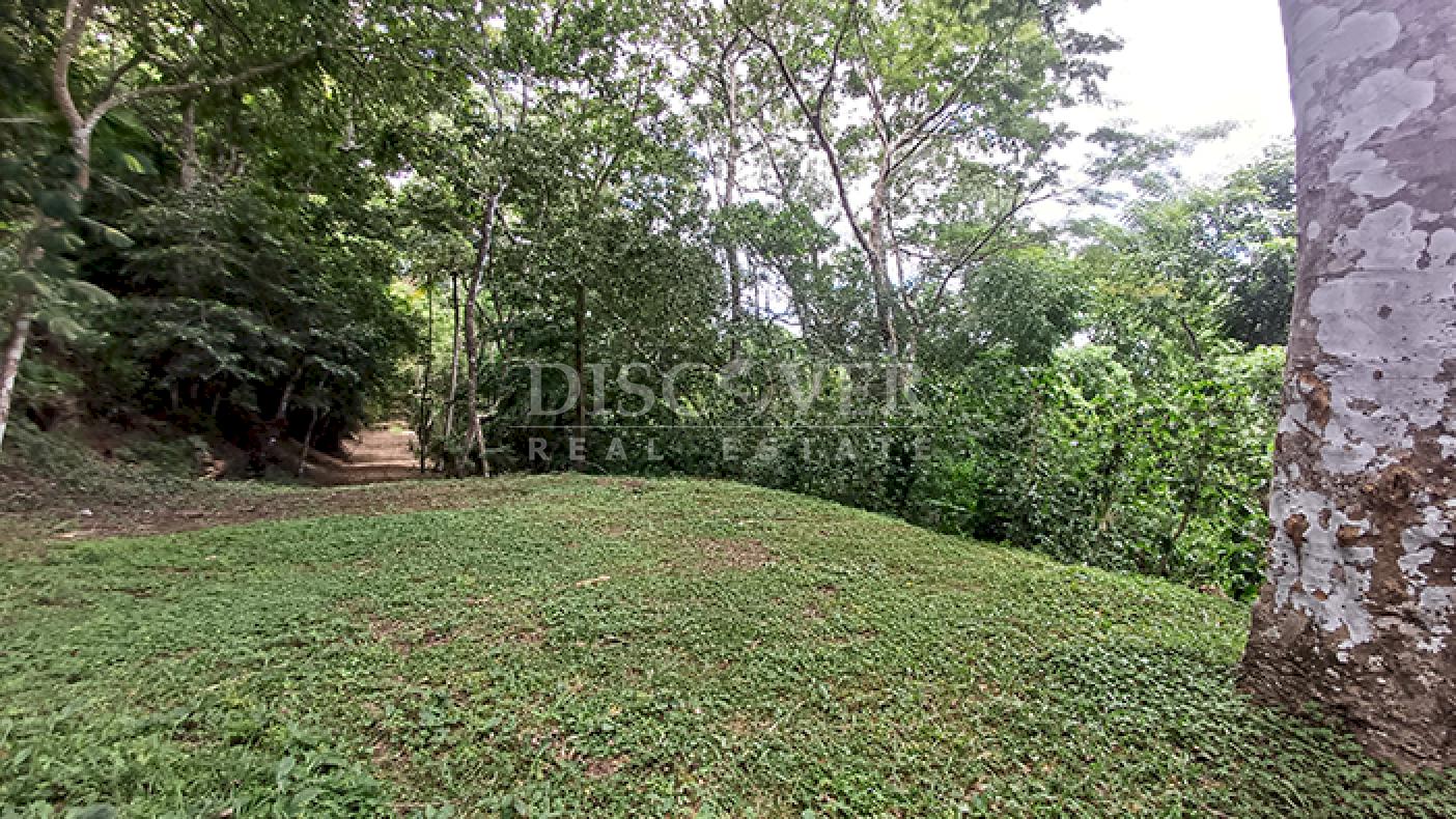 Land for sale with views of the lagoon and Mombacho Volcano in Diriá