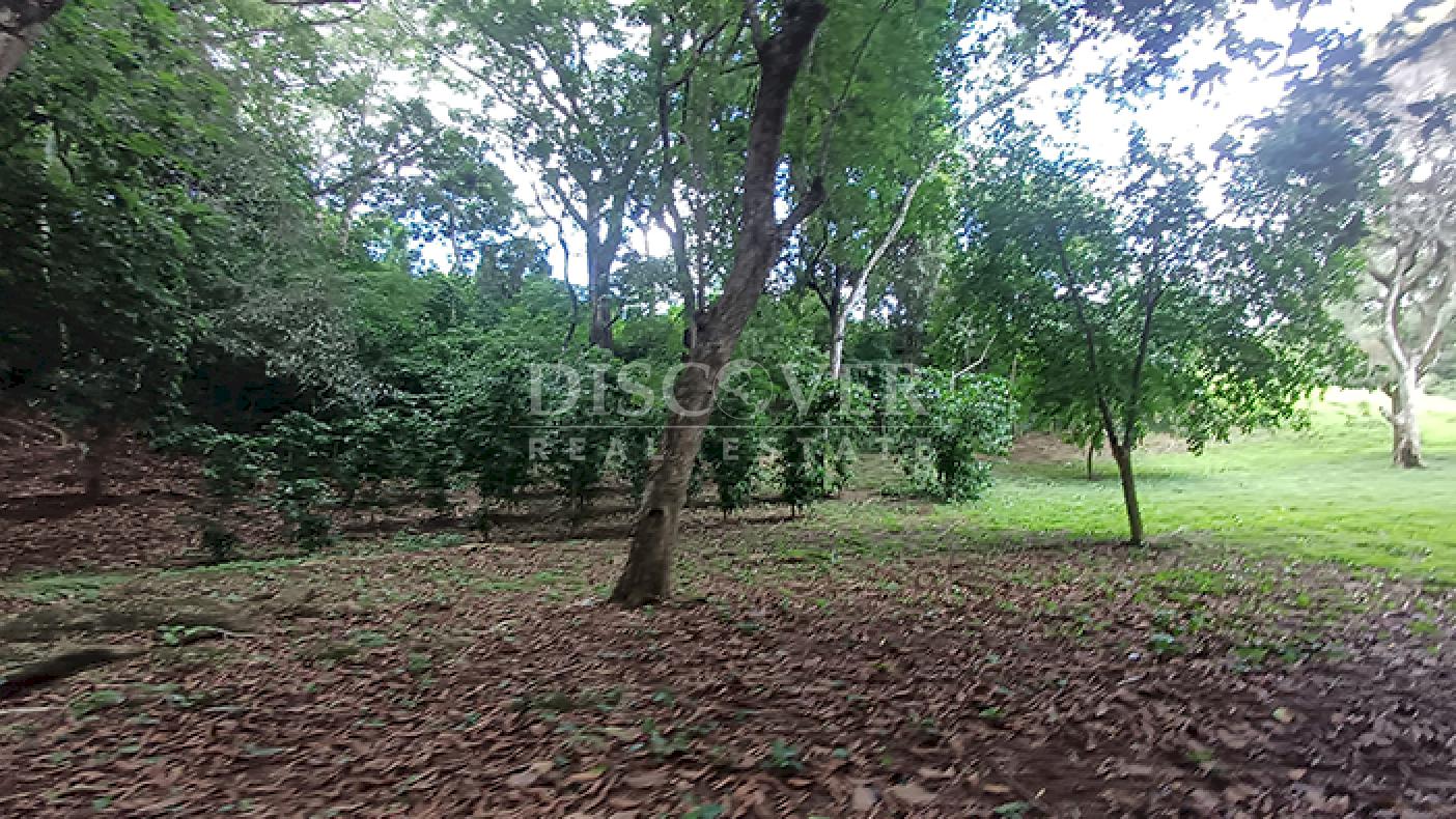 Land for sale with views of the lagoon and Mombacho Volcano in Diriá