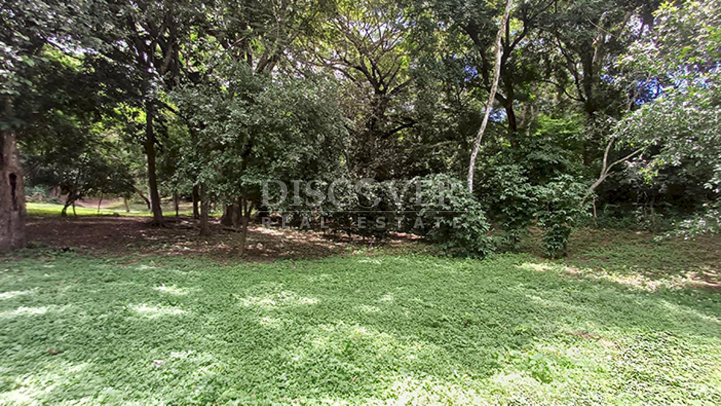 Land for sale with views of the lagoon and Mombacho Volcano in Diriá