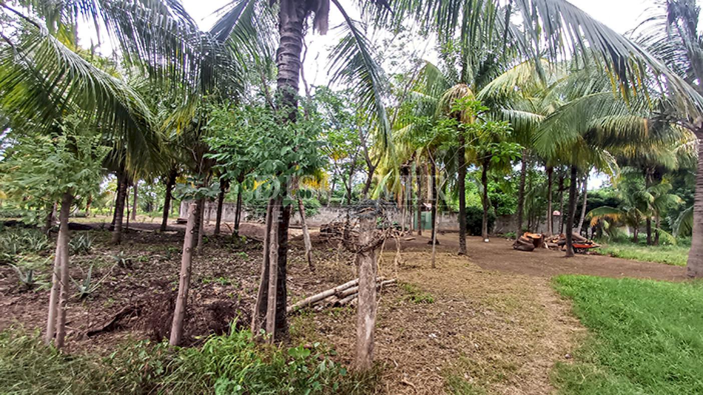 Land for Sale in Ticuantepe