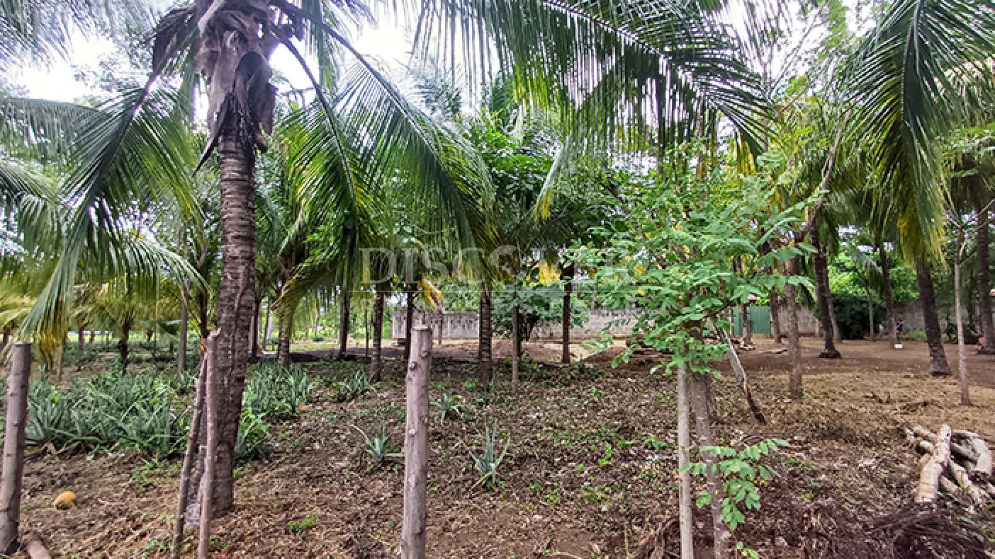 Land for Sale in Ticuantepe