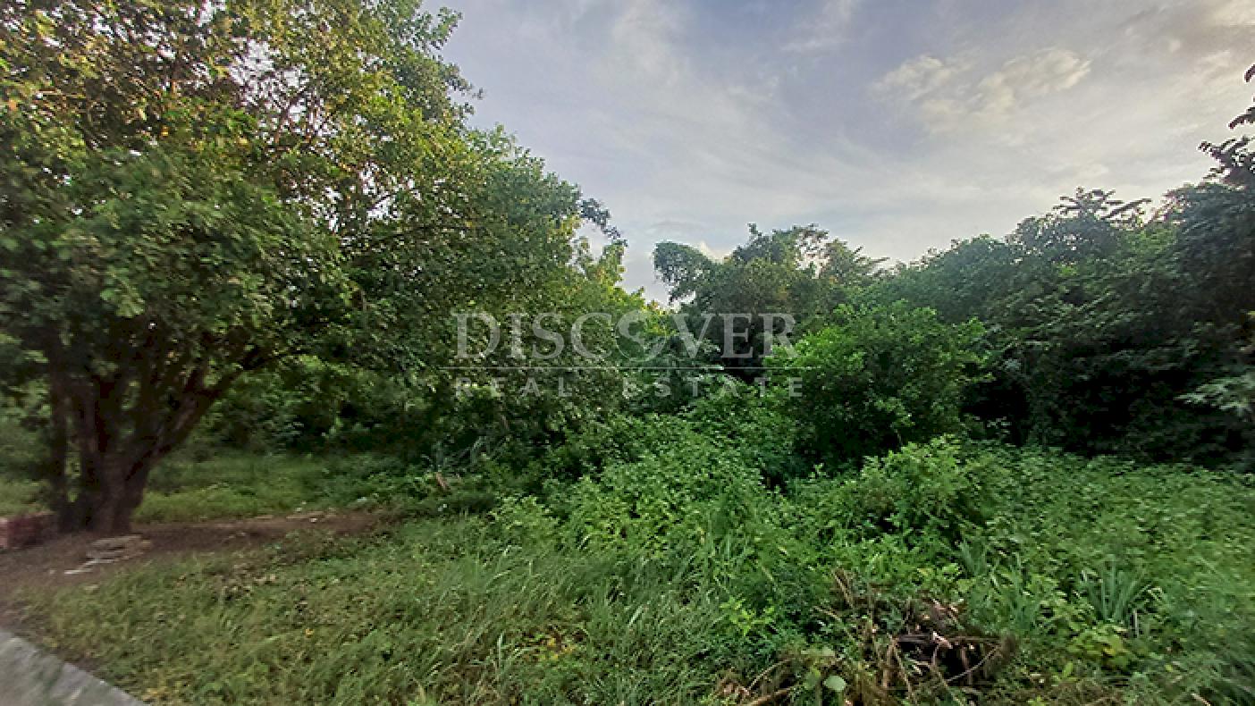 Commercial and industrial land for sale on Carretera Norte