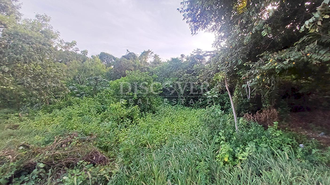 Commercial and industrial land for sale on Carretera Norte