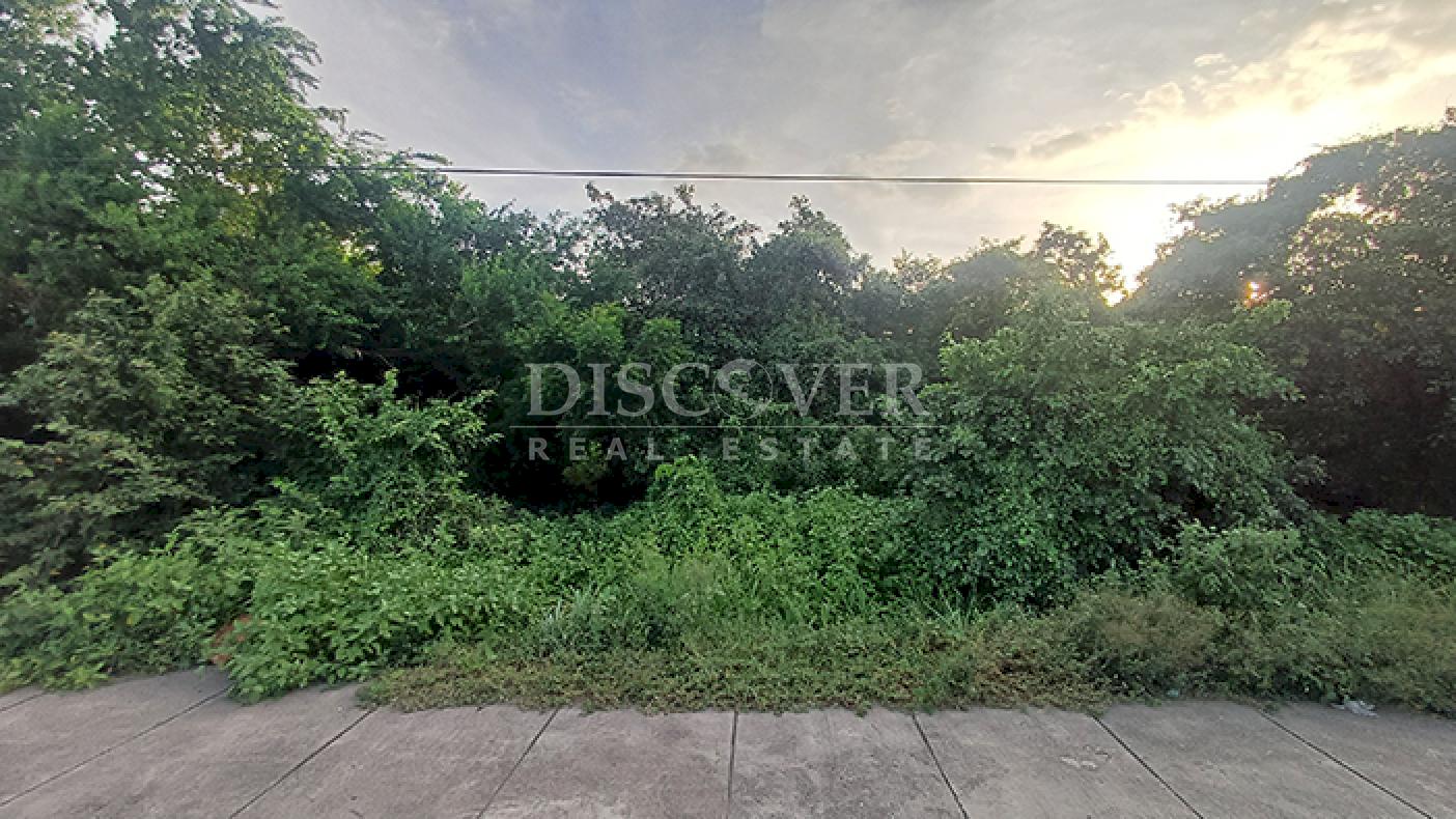 Commercial and industrial land for sale on Carretera Norte