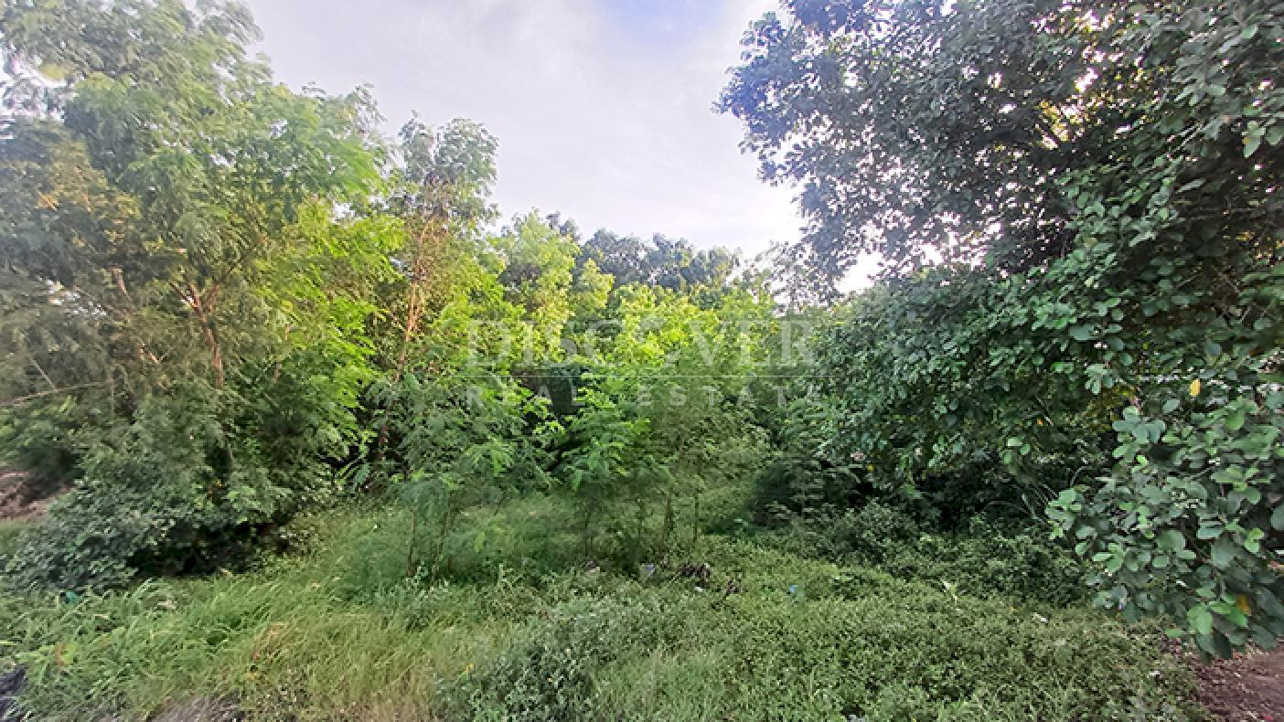 Commercial and industrial land for sale on Carretera Norte