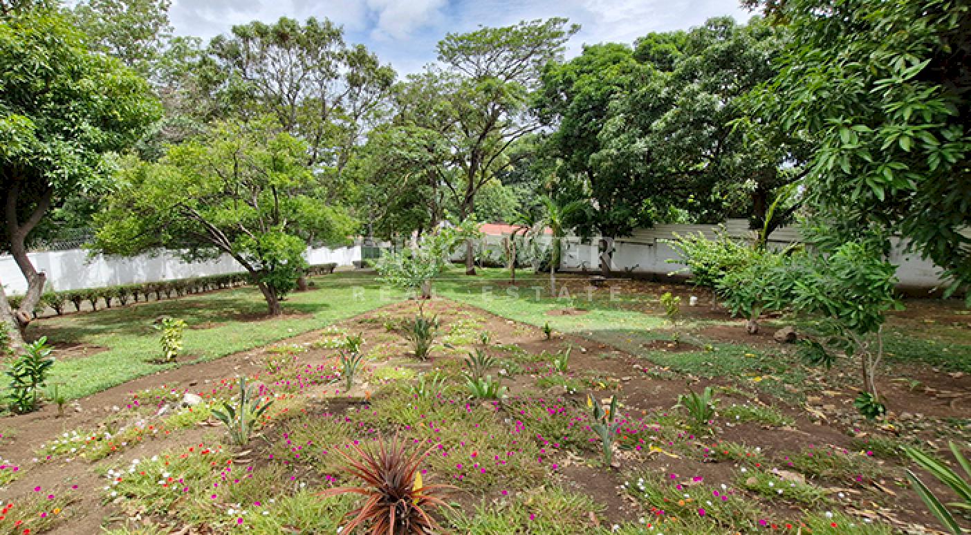  House for rent with a pool and spacious gardens on Carretera Sur