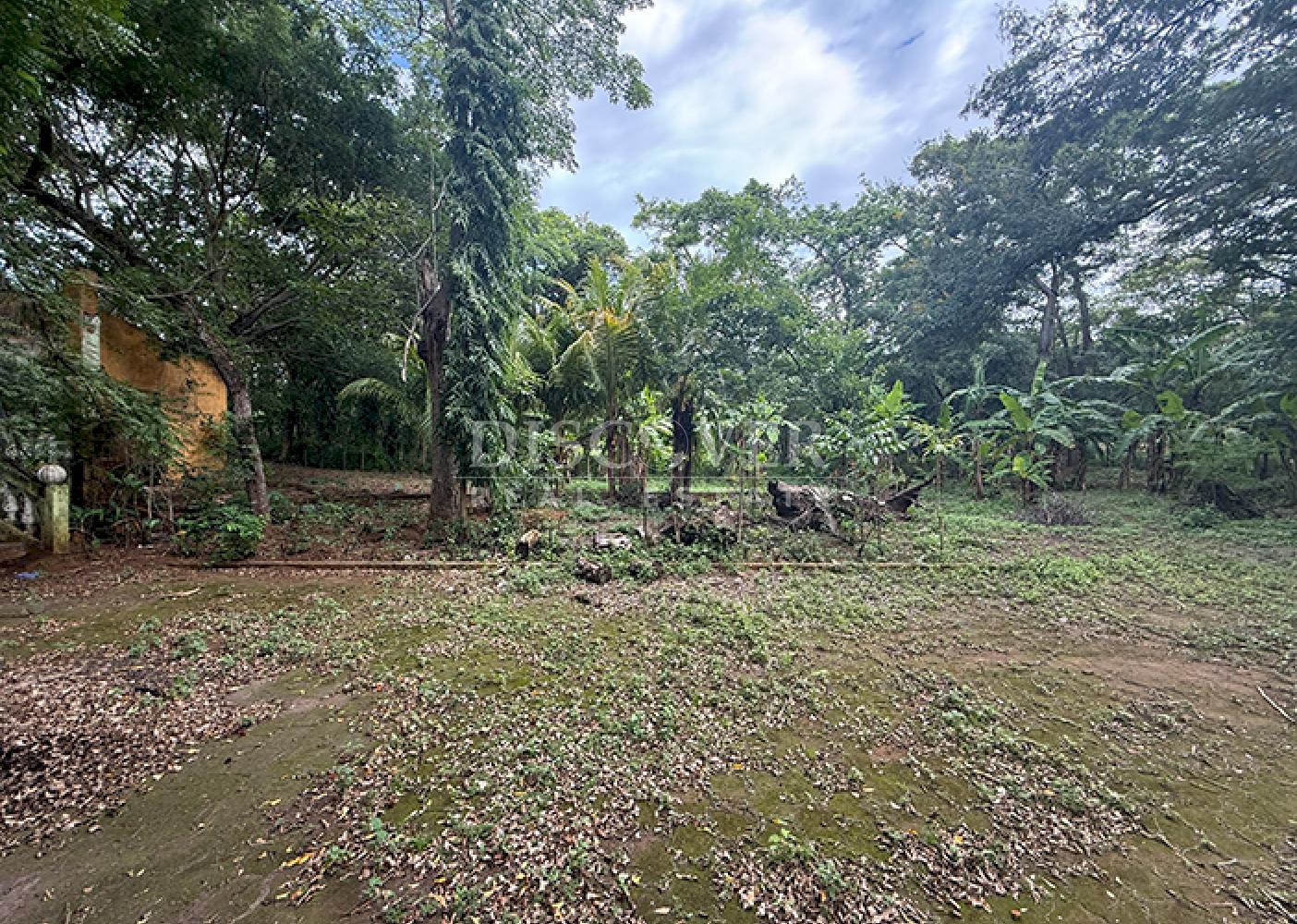  Land for sale along a highway in Masaya