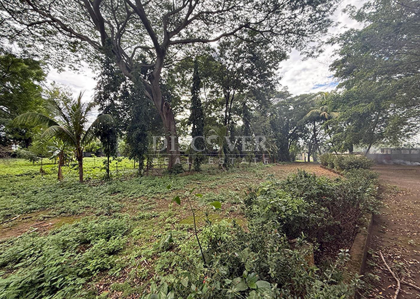  Land for sale along a highway in Masaya